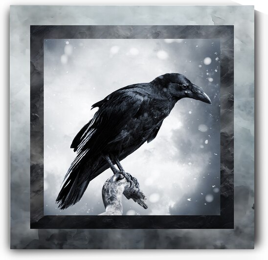 015 006 by Jack Deco