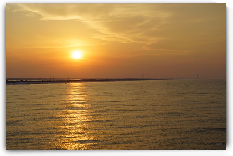 Awakening Gulf Coast by Jennifer White