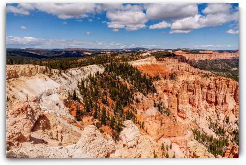 Rainbow Point Hoodoos Bryce by Jennifer White