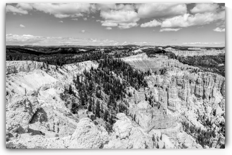 Rainbow Point Hoodoos Bryce Grayscale by Jennifer White