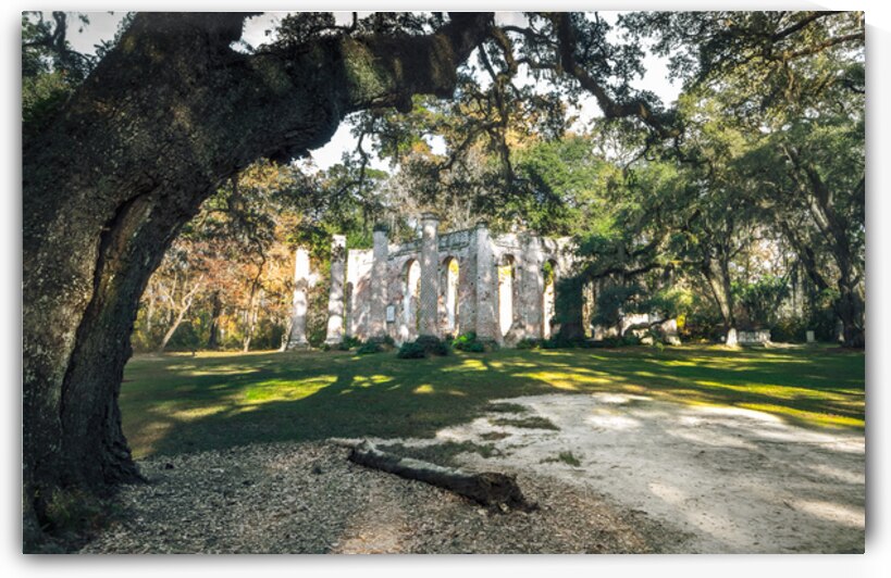 Old Sheldon Church Panorama by Norma Brandsberg Photography