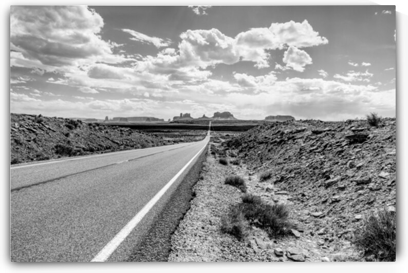 Forrest Gump Point Roadside View Grayscale by Jennifer White