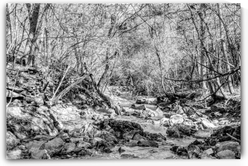 Rustic Fall Creek In Missouri Ozarks Grayscale by Jennifer White
