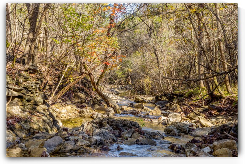 Rustic Fall Creek In Missouri Ozarks by Jennifer White