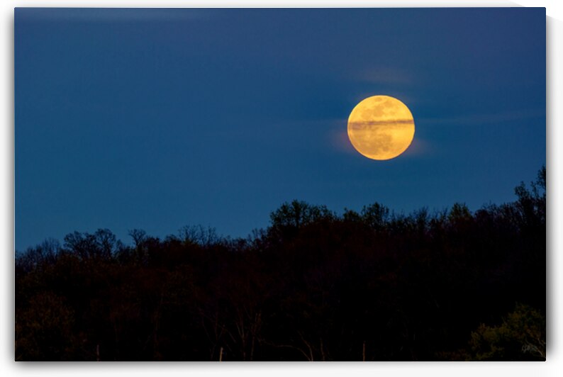 Full Pink Moon At Twilight by Jennifer White