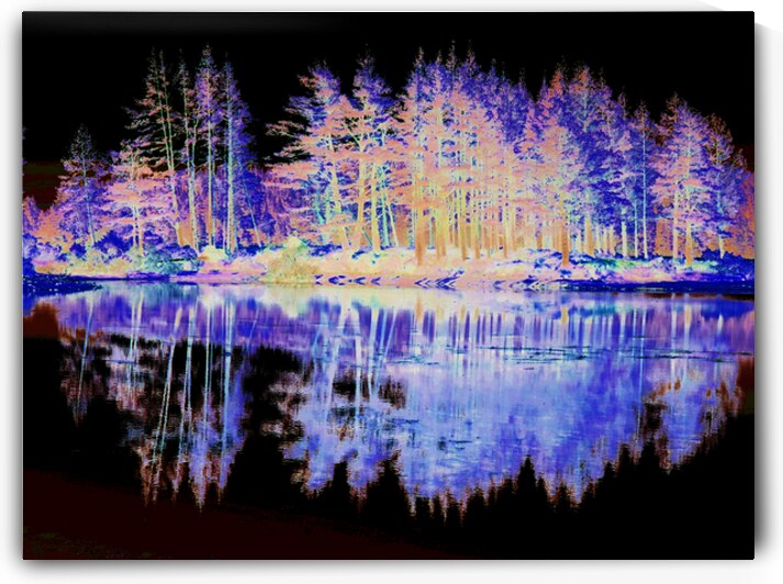 Scottish Highlands Vibrant Forest Reflections                                                                                                                      by Catriona Roberts Nature Photography and Designs