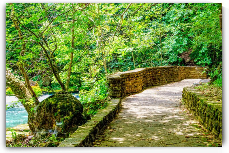 Pathway To Big Spring by Jennifer White