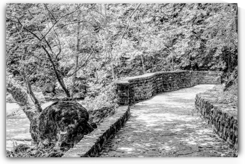 Pathway To Big Spring Grayscale by Jennifer White