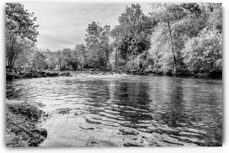Fall Fishing And Cascades Bennett Spring Grayscale by Jennifer White
