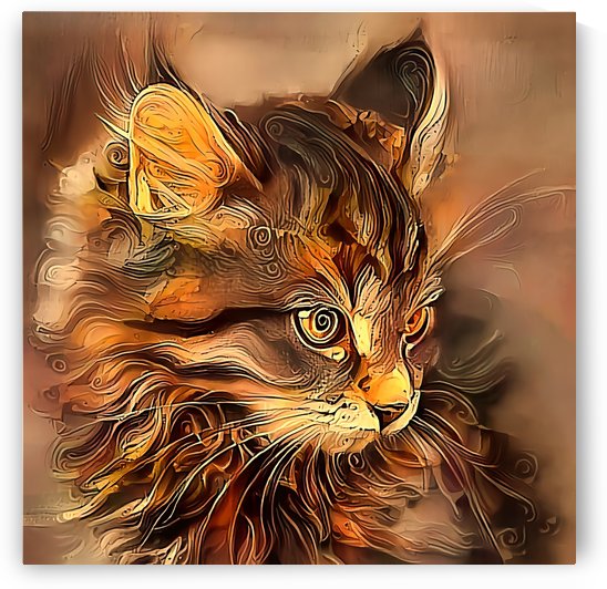 Pixie The Brown Tabby Cat by HH Photography of Florida