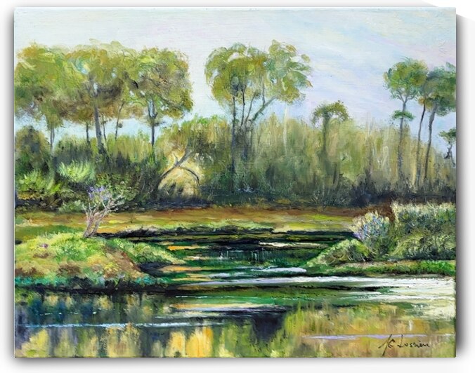 Morning light by JC Lussier