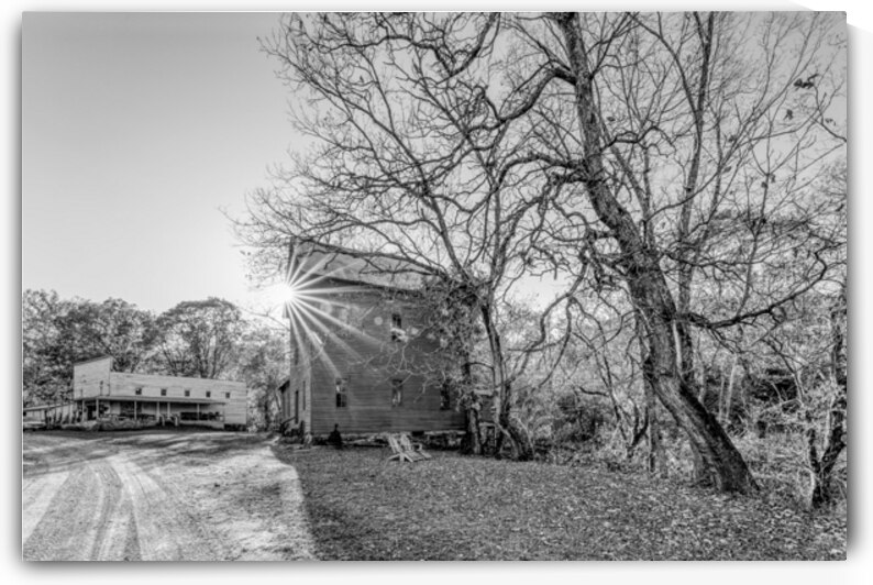Evening Sunburst Topaz Mill Grayscale by Jennifer White