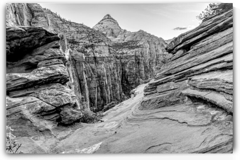 Zion Canyon Overlook Mountain Over Rocks Grayscale by Jennifer White