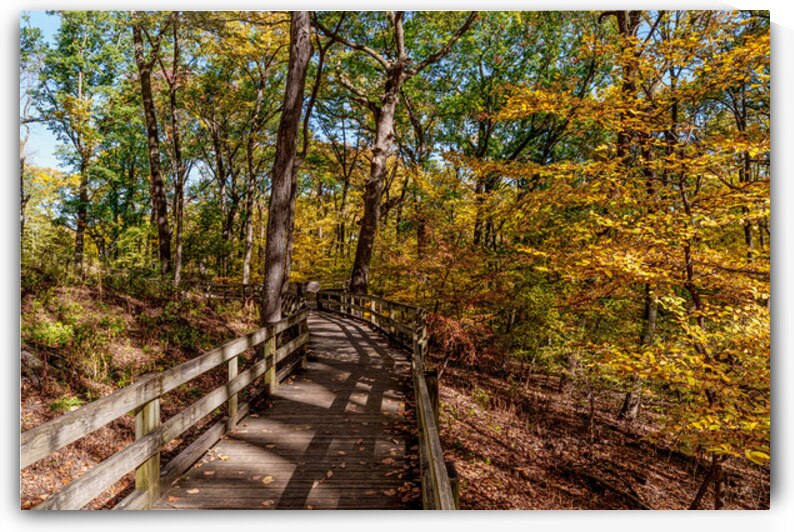 Autumn Fontenelle Walkway by Jennifer White
