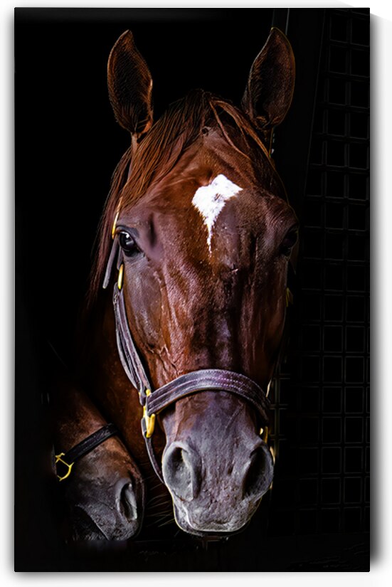 untitled by Against The Wind Images