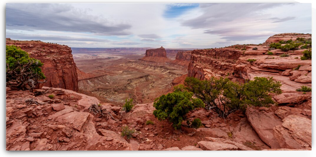 Canyonlands Holeman Spring Canyon Pano by Jennifer White