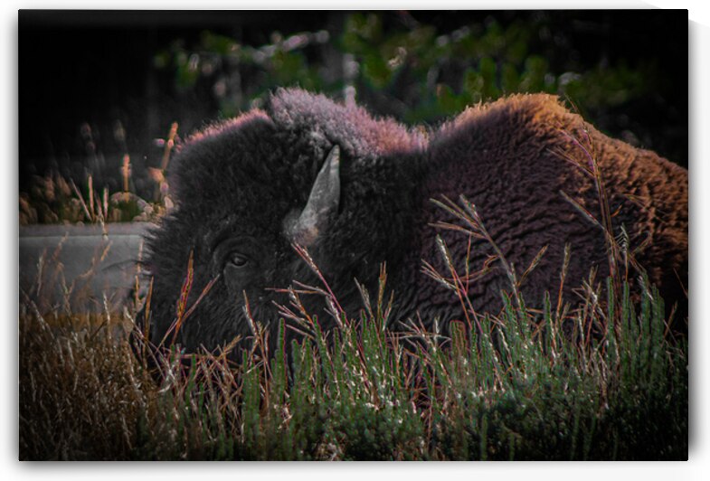 untitled shoot 3574 by Against The Wind Images