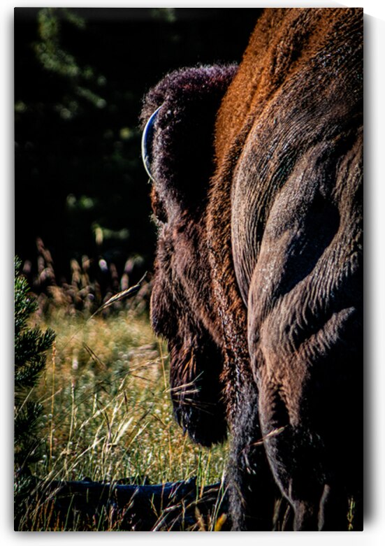 untitled shoot 3555 by Against The Wind Images