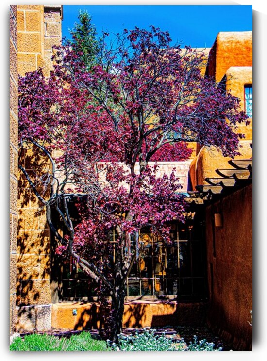 Santa Fe taos Fuji 7872 by Against The Wind Images