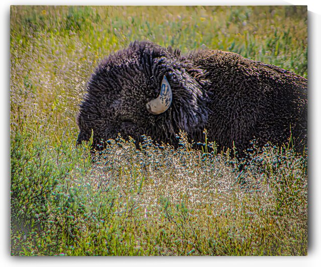 untitled shoot 5351 by Against The Wind Images