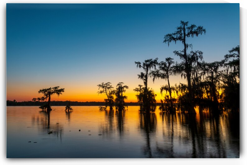 After sunset Lake Martin Breaux Bridge Louisiana by DELPHIMAGES