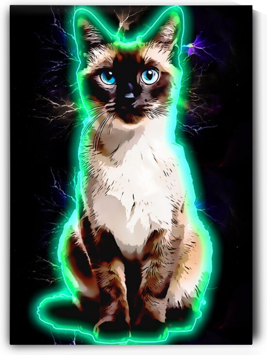 1001 aura neon art siam by Trinara