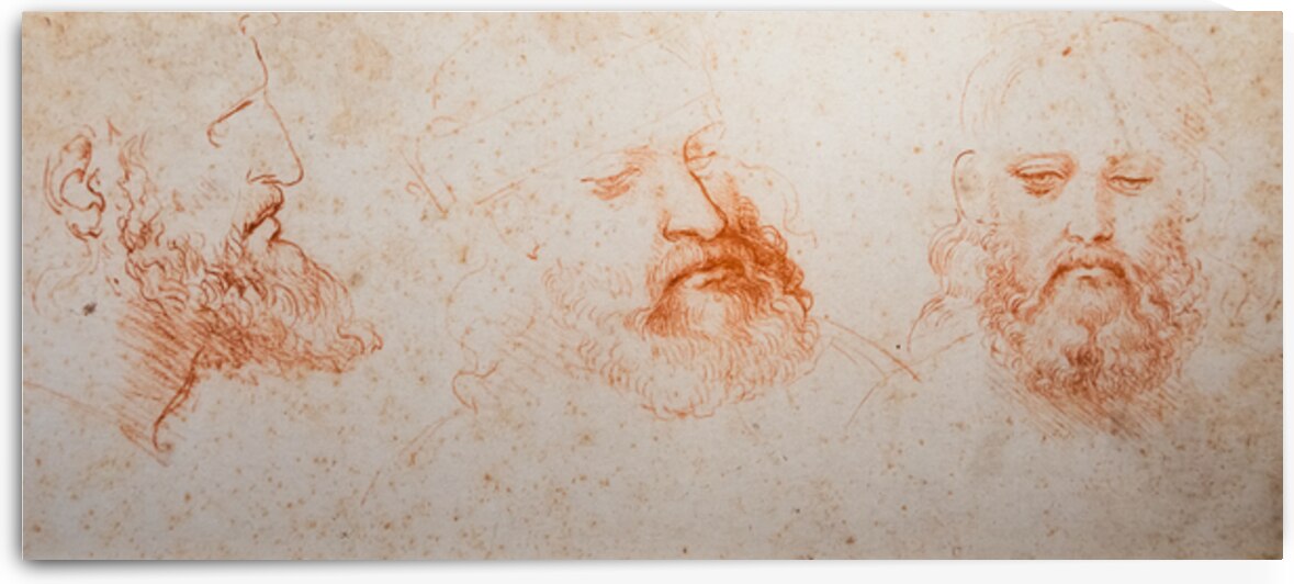 Leonardo da Vinci anatomical drawing on handmade cotton paper R by Paolo Modena