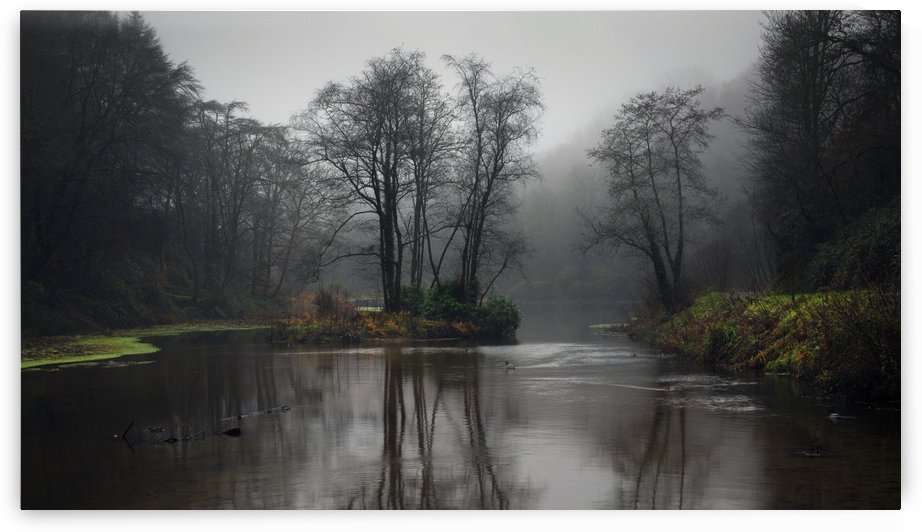 Penllergare Valley Woods upper lake by Leighton Collins