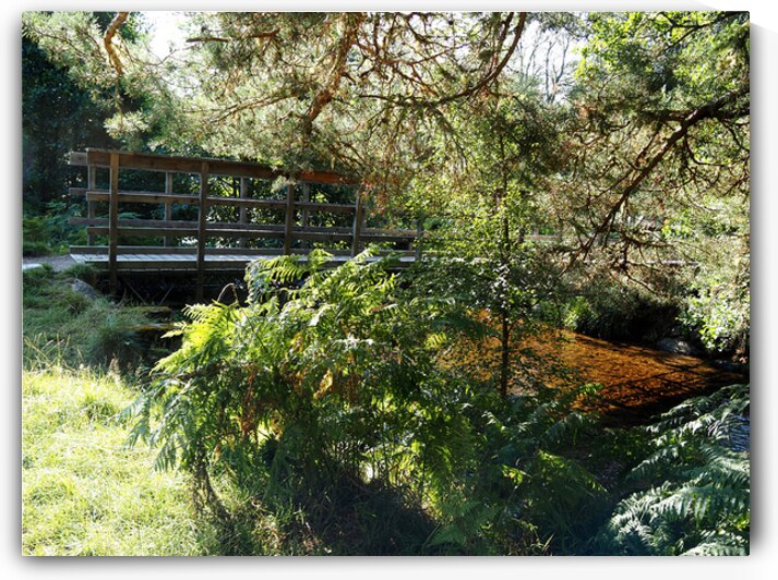 Summers Bridge in the Scottish Highlands                                                                                                                      by Catriona Roberts Nature Photography and Designs