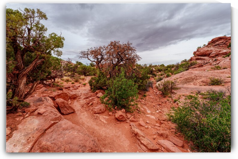 Upheaval dome Wilderness Hiking Trail by Jennifer White