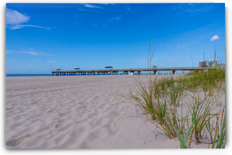 Sea Oats And Pier Orange Beach by Jennifer White