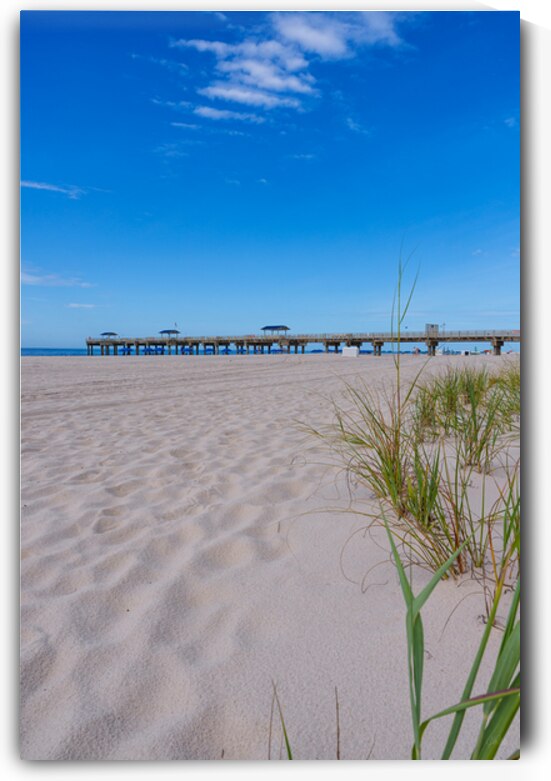 Sea Oats And Pier Orange Beach Vertical by Jennifer White