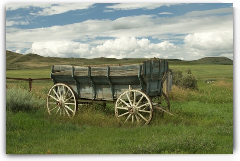 Vintage Voyage by Nicola McGuire