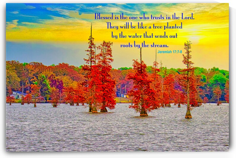 RIVER TREES  SCRIPTURE by Charles Herchert