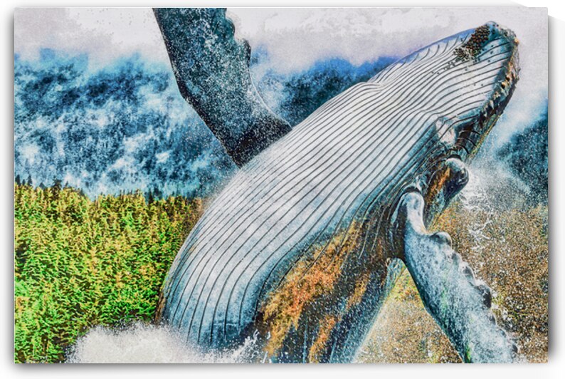 HUMPBACK WHALE by Charles Herchert