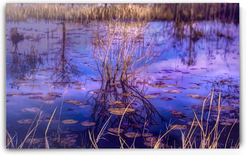 Tranquil Reflections at Dusk by Norma Brandsberg Photography