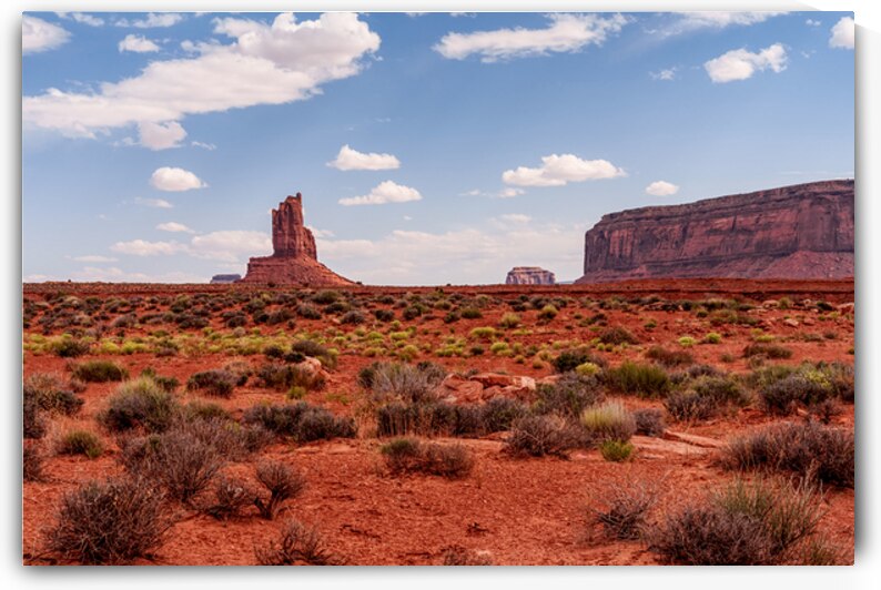 Big Indian Monument Valley by Jennifer White