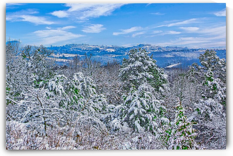 SOUTHERN WINTER  by Charles Herchert