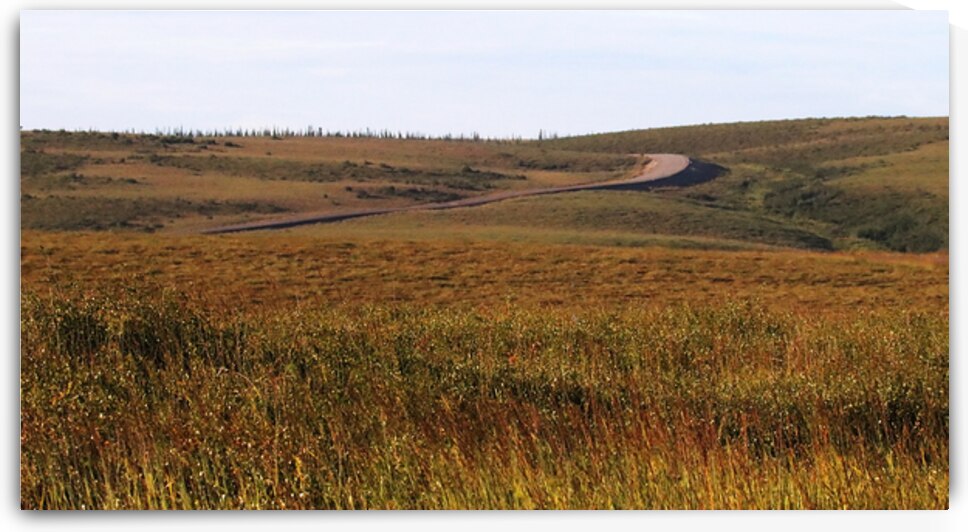 Road From Inuvik To Tuktoyaktuk by Deb Oppermann