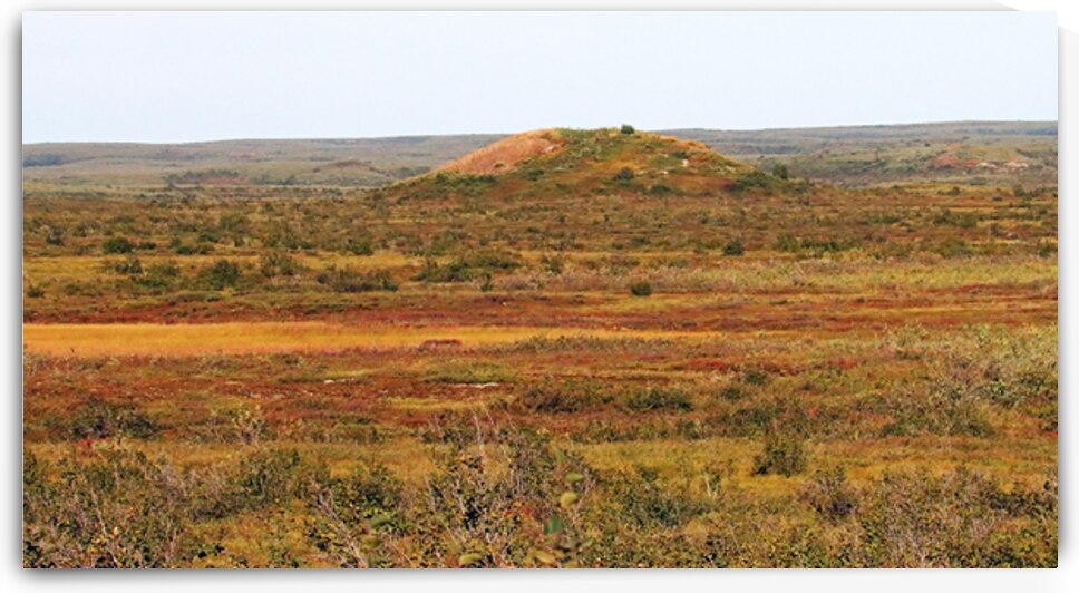 Pingo And Tundra by Deb Oppermann