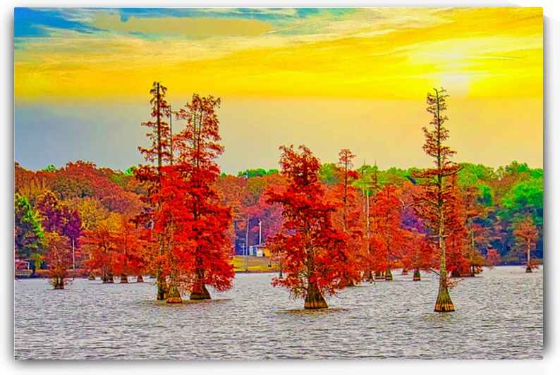 RIVER TREES   by Charles Herchert