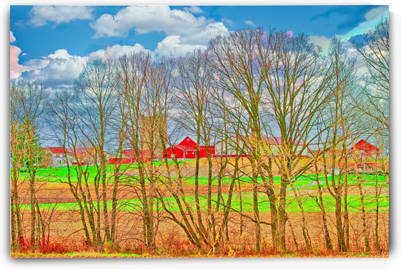 COUNTRY FARM TREES  by Charles Herchert