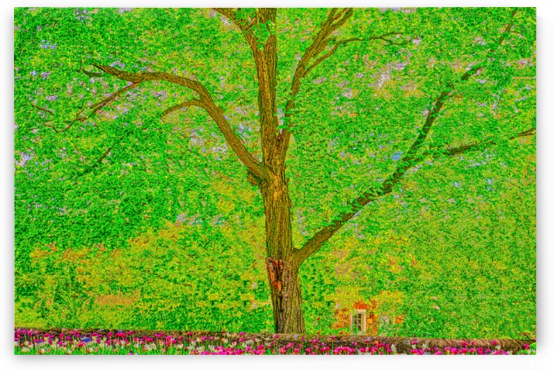 INSPIRATIONAL TREE  by Charles Herchert