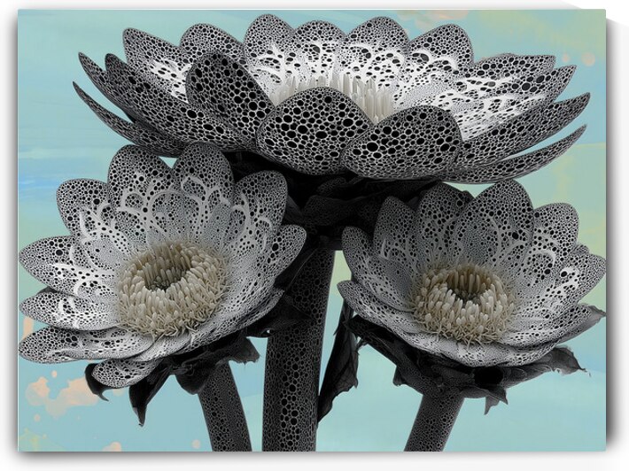 Lace Petal Trio – Modern Lotus Bloom Art Print by Savage Art Prints