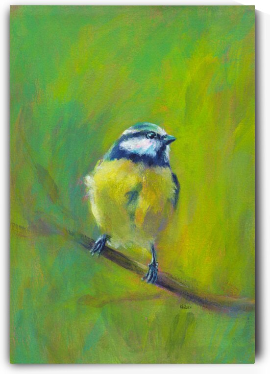 Portrait of Eurasian blue tit acrylic painting  by Karen Kaspar