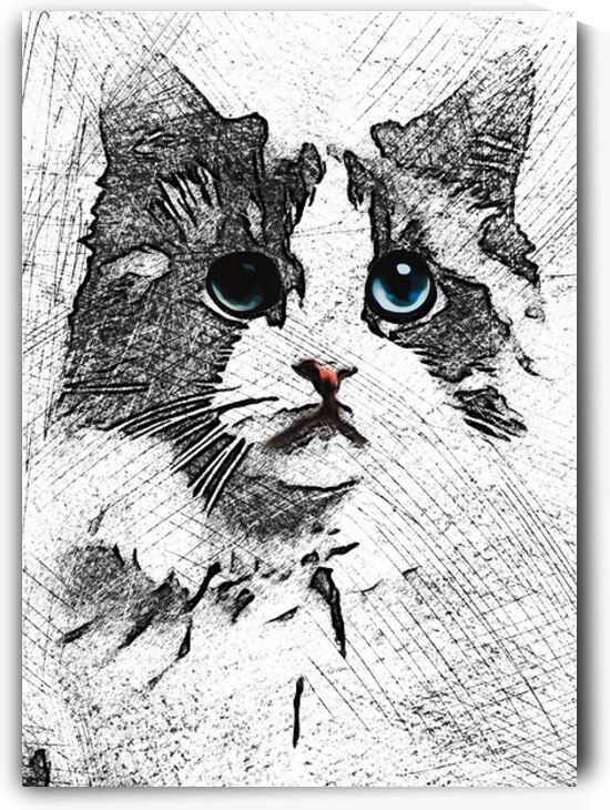 1001 Sketch Art RD mata biru by Trinara