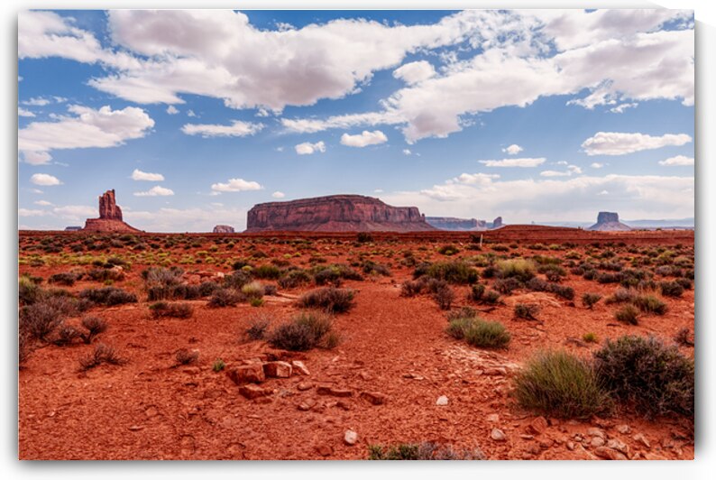 Back North Side Of Monument Valley by Jennifer White