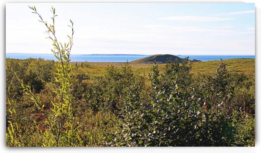 Pingo And A Lake NWT by Deb Oppermann