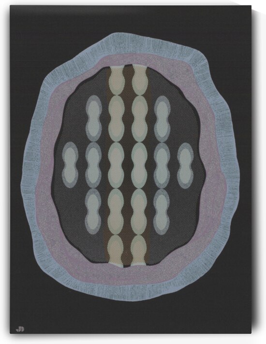 Cross Section: From the Back To Back Folio by Tony Tascona OC LLD RCA LLD 1926 2006