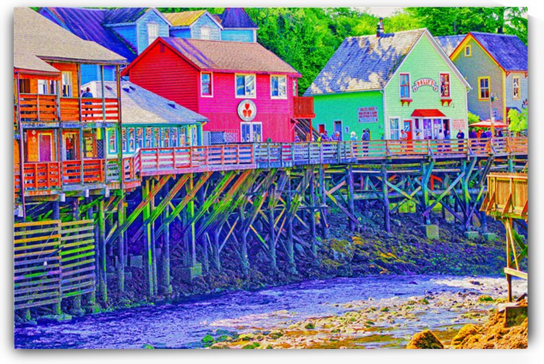 SALMON CREEK  by Charles Herchert